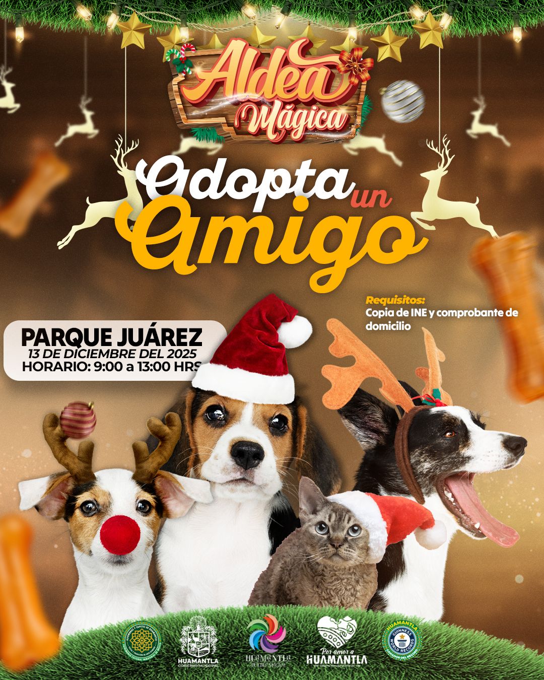 Invitan a sumarse a la jornada de adopción 'Adopta un Amigo' en el Parque Juárez
